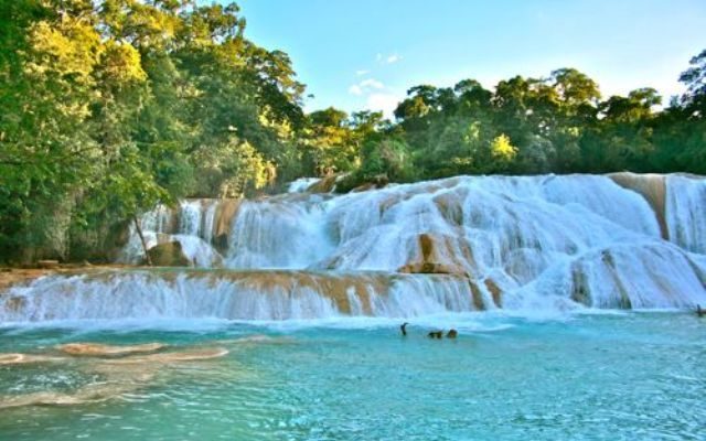 View of the Agua Azul waterfalls, Chiapas, Mexico - Destination Mexico - Lineupping