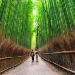 Sagano Bamboo Forest inside view - Destination Japan - Lineupping