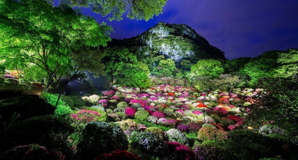 View of Mifuneyama Rakuen blooming trees - Asia travel tips - Lineupping