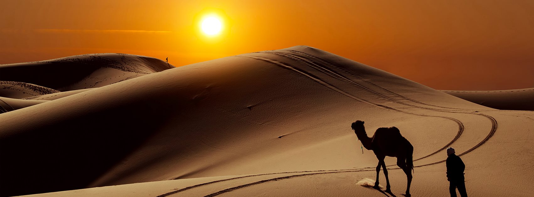 View of camel and bedouins in the desert at sunset - credits Oasis Festival - Oasis Festival 2023 - Lineupping.com